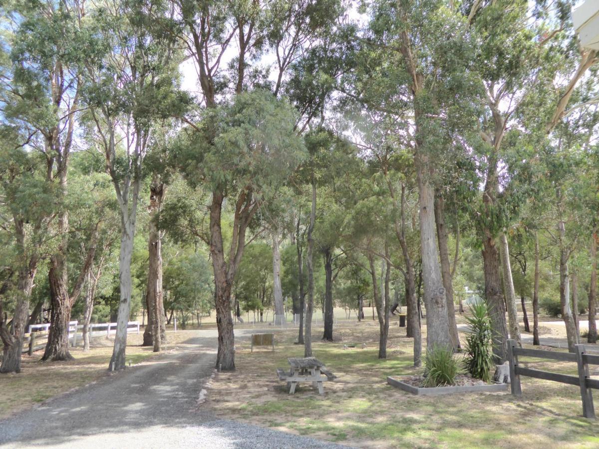 Villa Dacelo Halls Gap Exterior foto